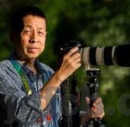 91麻豆视频免费看-可以采用探索91麻豆视频免费看的全维度魅力这样一个更加自然的表达方式。以下为内容展开