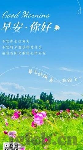 青青草视频成人vip号-青青草视频，成人娱乐的数字新世界