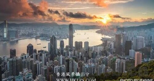 人妻受-探索人妻的内心世界，细腻的情感与坚韧的担当