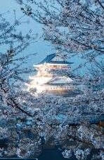 神马电影日韩麻豆91爱爱-探寻东亚影视文化的温热一隅——日韩影视中的情感与艺术