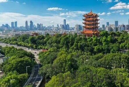 糖心官网入口txvlog-解锁糖心文化新视界，TXVlog的探索之旅